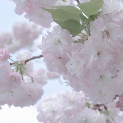 港闸福瑞交流群